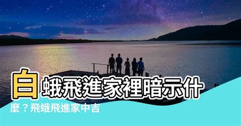 蛾飛到房間|家中飛蛾暗示什麼？專家解析